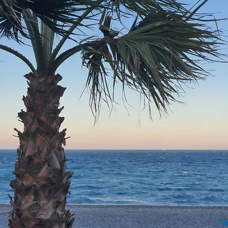 Fleur D'azur 100 M De La Plage 빌뇌브루베