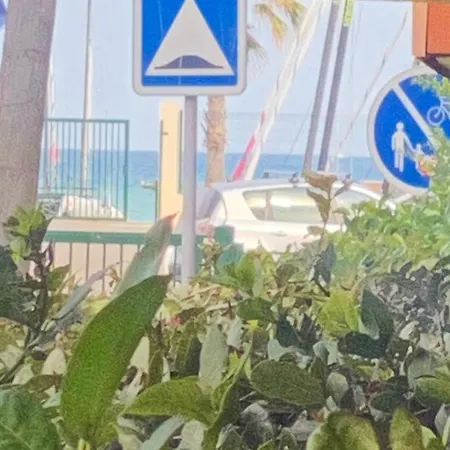 Fleur D'azur 100 M De La Plage *