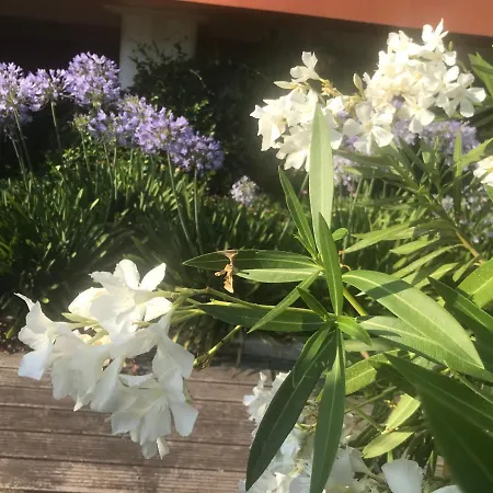 아파트 Fleur D'azur 100 M De La Plage