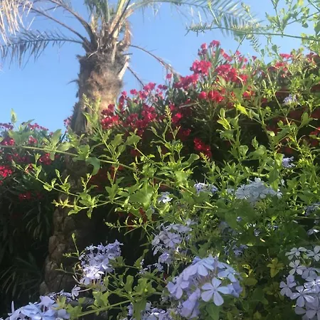 Fleur D'azur 100 M De La Plage * Villeneuve-Loubet