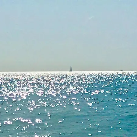 아파트 Fleur D'azur 100 M De La Plage 빌뇌브루베
